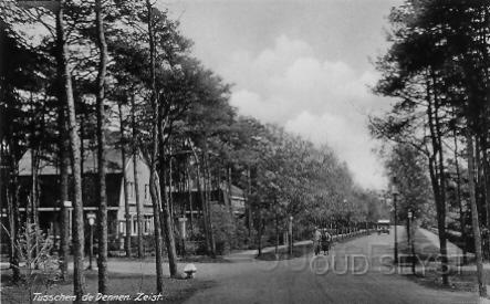 Tussen de Dennen-1933-001.jpg - Tussen de Dennen was de eerste weg in Kerckebosch, die bebouwd werd vanaf 1920. Links het Padvinderslaantje met fietspad. Gezien vanaf het Kerckeboschpad, dat vanaf 1945 Prins Bernhardlaan zou heten. Foto gemaakt in 1935.